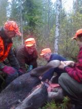 tuhmalampi_Jussin hirvi 05.10.2013.jpg